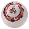 Spielball 2011/12