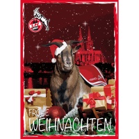 1 Fc Köln Weihnachten 1 Fc Köln Weihnachten